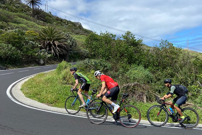 1/2 day guided roadbike tour - Why the Orotava Valley makes a fine cycling setting