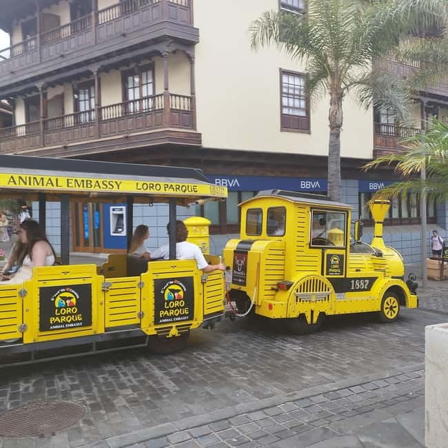 1-2 hour walking route through Puerto de la Cruz, Tenerife - Why this short Puerto de la Cruz walk works well