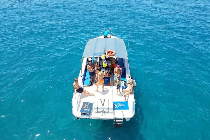 2 hour trip to see whales dolphins puerto colon adeje - Key points before you book