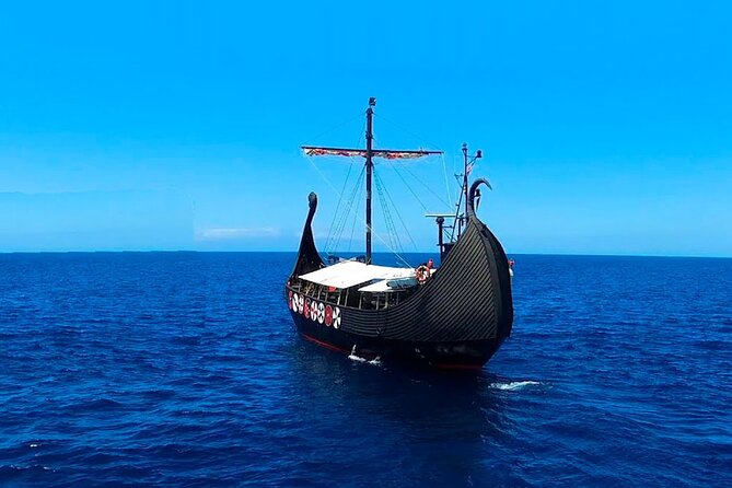 2h Viking Cruise Whales & Dolphins Watching - Should You Book This Two-Hour Cruise?