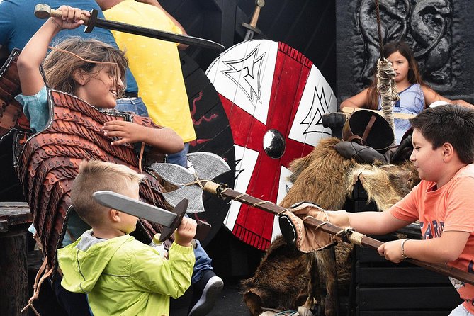 2h Viking Cruise Whales & Dolphins Watching - What the Viking Theme Adds