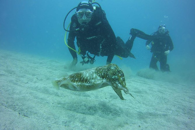 2x diving package, on request including refreshment - Getting Ready at Ocean Trek in Costa Adeje