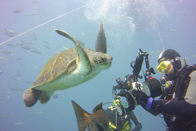 2x diving package, on request including refreshment - Why the Small Group Matters