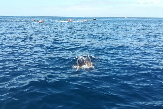 3-Hour Boat Trip from Costa Adeje in Tenerife - Sailing with Captain Felix Palmero
