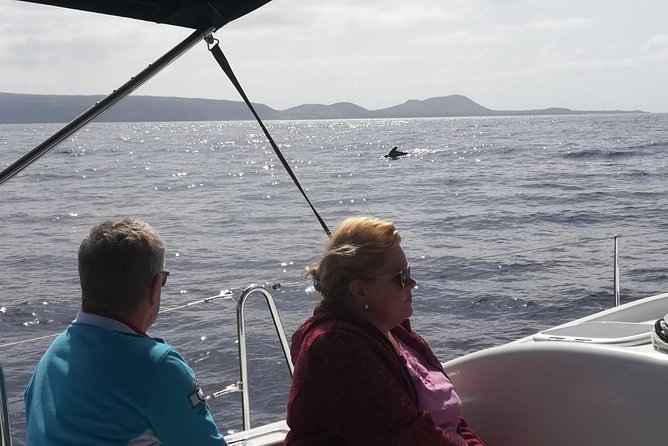 3-Hour Boat Trip from Costa Adeje in Tenerife - Who should book this Costa Adeje sailing trip?
