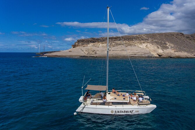 3-hour catamaran excursion along the Costa Adeje - A small catamaran from Puerto Colón