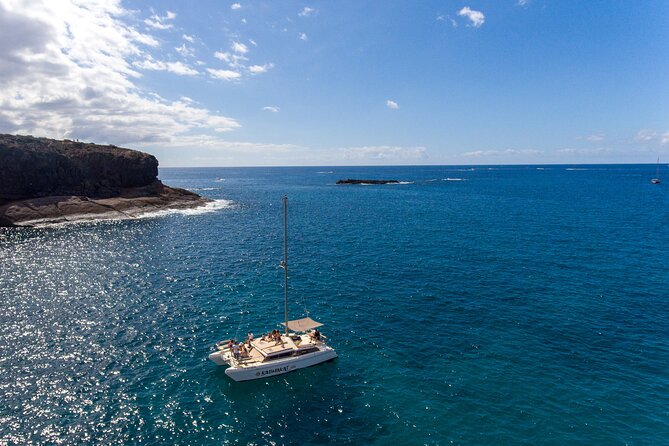 3-hour catamaran excursion along the Costa Adeje - The Veril Beach cove and the swimming stop