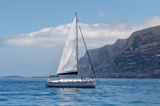 3-Hour Cetacean Watching and Snorkeling Tour in Tenerife - Watching for whales off Tenerife’s southwest coast