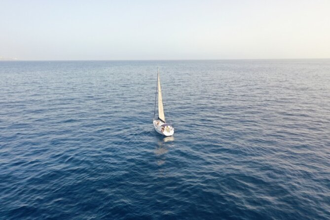 3-Hour Cetacean Watching and Snorkeling Tour in Tenerife - What the $21 price really covers