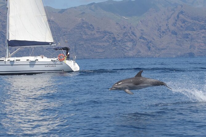 3-Hour Cetacean Watching and Snorkeling Tour in Tenerife - Practical points before you reserve