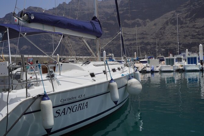 3-Hour Cetacean Watching and Snorkeling Tour in Tenerife - The towering cliffs of Los Gigantes