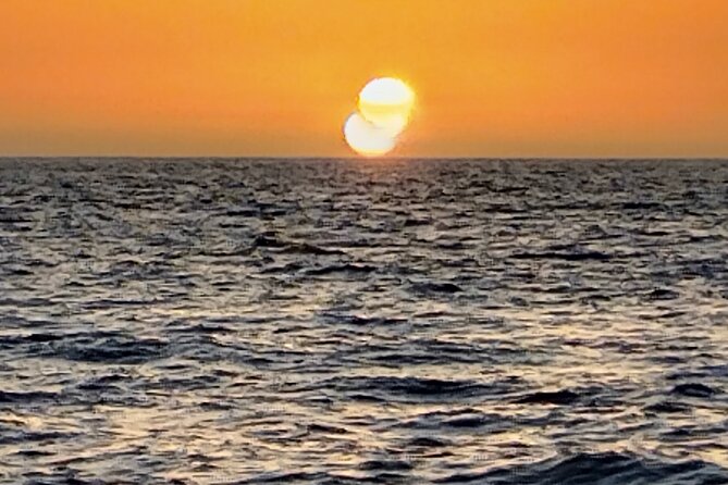 3-hour excursion to Puerto Colón Adeje to see whales - Who should book this three-hour excursion