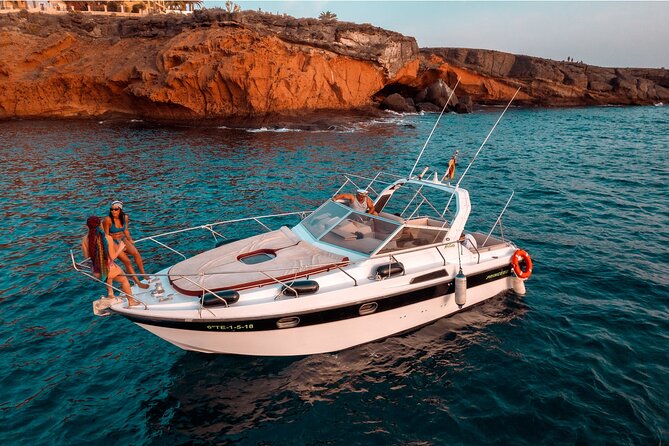 3 Hour Shared Motor Yacht Boat Trip & Snorkeling With Small Group - Searching for whales and dolphins off Tenerife