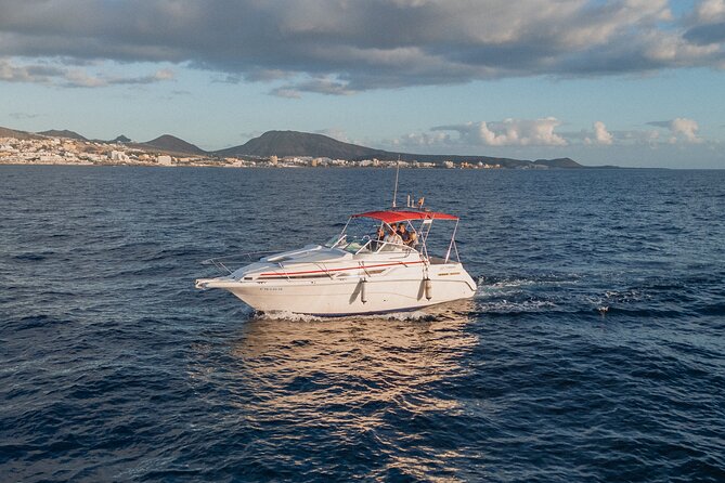 3 Hour VIP Private Luxury Boat Charter in Tenerife - A quiet bay for swimming and snorkelling