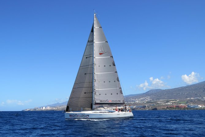 3 Hours All Inclusive Whale and Dolphin Whatching Yacht Trip - Setting sail from Puerto Colón in Costa Adeje