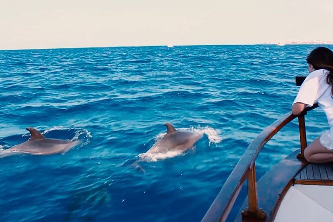 3-Hours Private Tour to Accessible Boat en Canary Island - Who will get the most from this experience