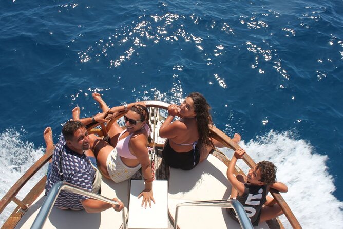 3-Hours Shared Tour to Accessible Boat en Canary Island - Dolphins, sea turtles, and realistic wildlife hopes
