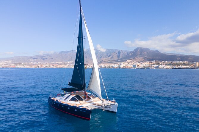 3 hrs. Whale Watching and Relaxing Chill Out Catamaran with glass floor - Lunch, wine, beer, and a practical break