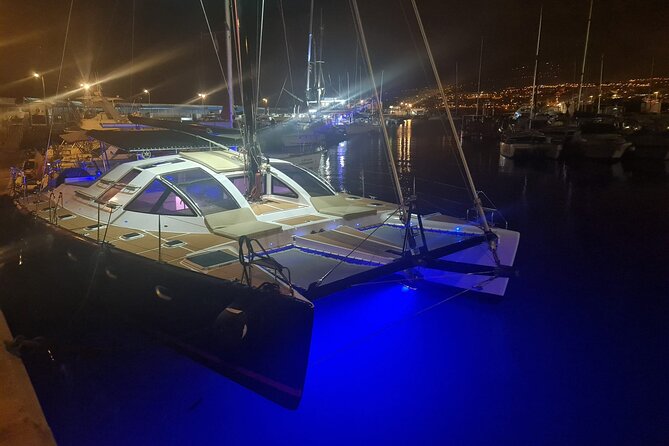 3 hrs. Whale Watching and Relaxing Chill Out Catamaran with glass floor - What the small group changes