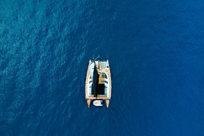 3 hrs. Whale Watching and Relaxing Chill Out Catamaran with glass floor - Whale and dolphin watching in Tenerife