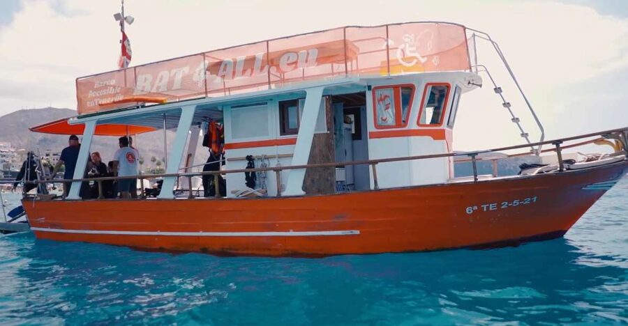 3H Shared Barrier-Free Cruise with Turtles Dolphins & Whales - Who will get the most from this cruise