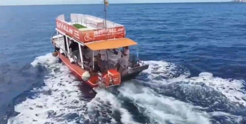 3H Shared Barrier-Free Cruise with Turtles Dolphins & Whales - Lover’s Cave and the coastal view