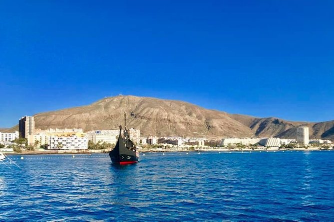 3h Viking Cruise with Drinks, Whales watching & Swimming Time - The open-ocean swim stop