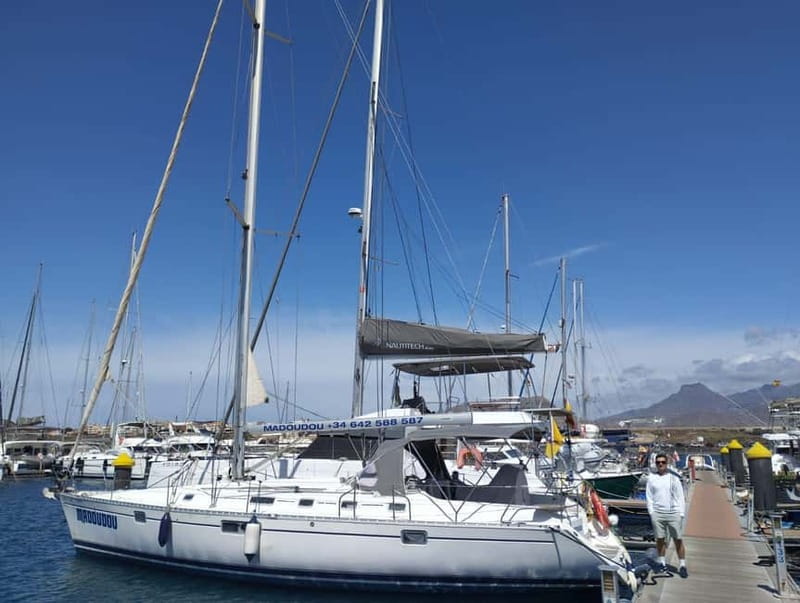 3h Whale Watching Private tour Beneteau Oceanis 440 - Key points to know before booking