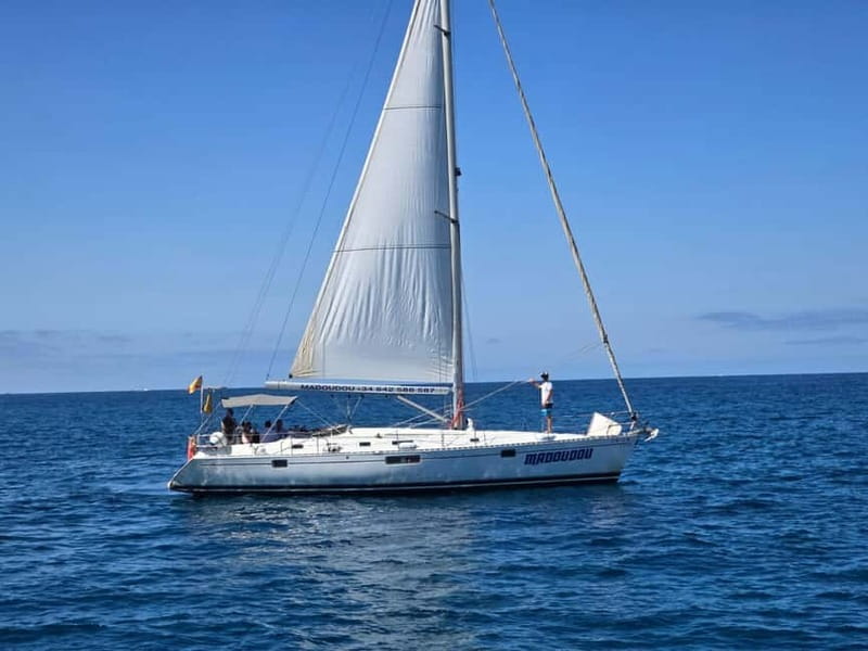 3h Whale Watching Private tour Beneteau Oceanis 440 - Sailing out of Puerto Colón on the Beneteau Oceanis 44
