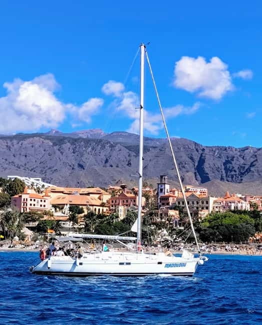 3h Whale Watching Share Tour Beneteau Oceanis 440 - Key points to know before you book