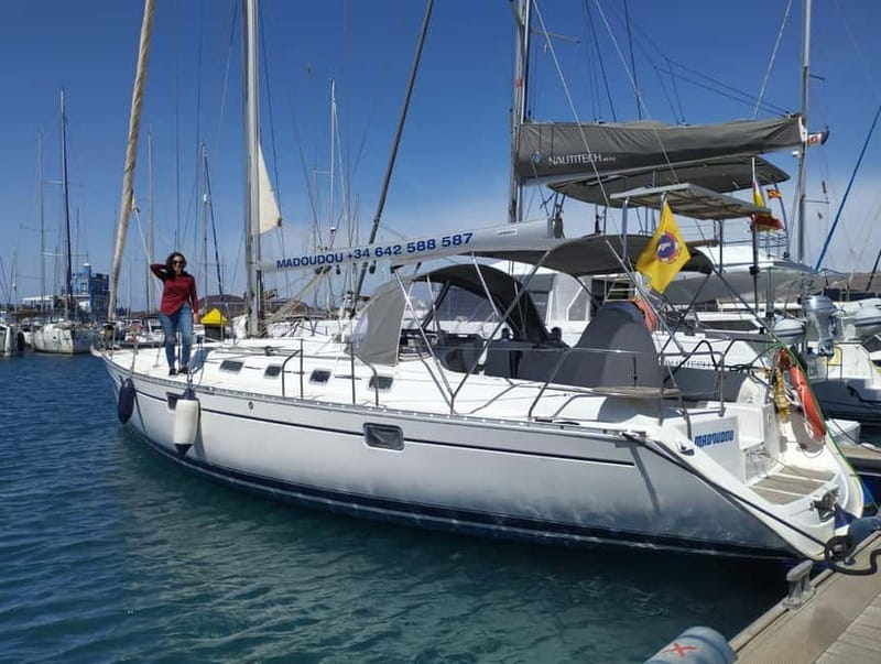 3h Whale Watching Share Tour Beneteau Oceanis 440 - The main strengths and weak spots