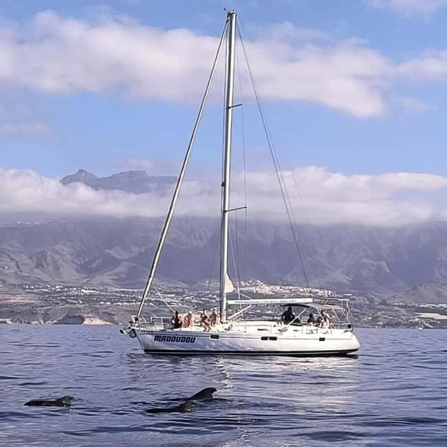 3h Whale Watching Share Tour Beneteau Oceanis 440 - What the Beneteau Oceanis 440 adds