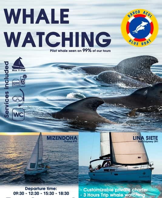 3h Whale watching Share Tour Costa Adeje Lina7 Mizendoha - A coastal swim and snorkeling stop