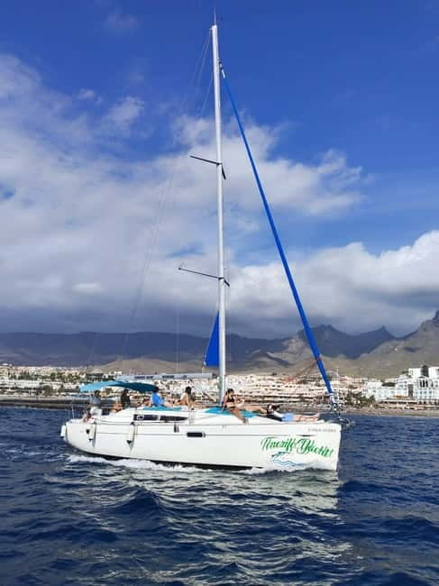 3h Whale watching Share Tour Costa Adeje Lina7 Mizendoha - Who should book this Costa Adeje outing