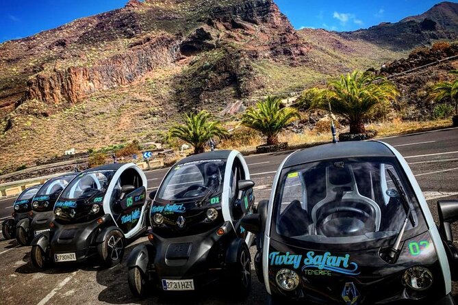 4 Hours Eco Safari Tour with Electric Car in Tenerife - Key points at a glance