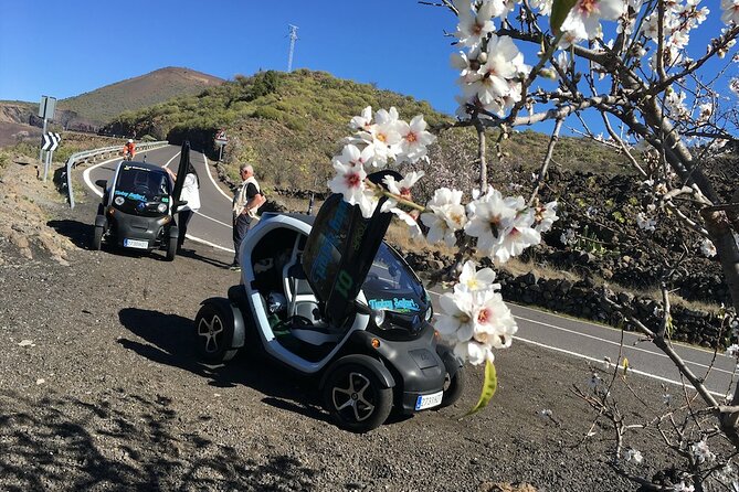 4 Hours Eco Safari Tour with Electric Car in Tenerife - Chio and the small food producer