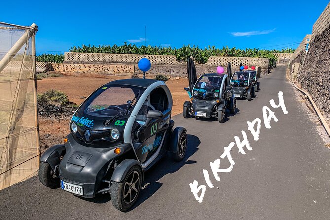 4 Hours Eco Safari Tour with Electric Car in Tenerife - A real banana plantation in Puerto de Santiago