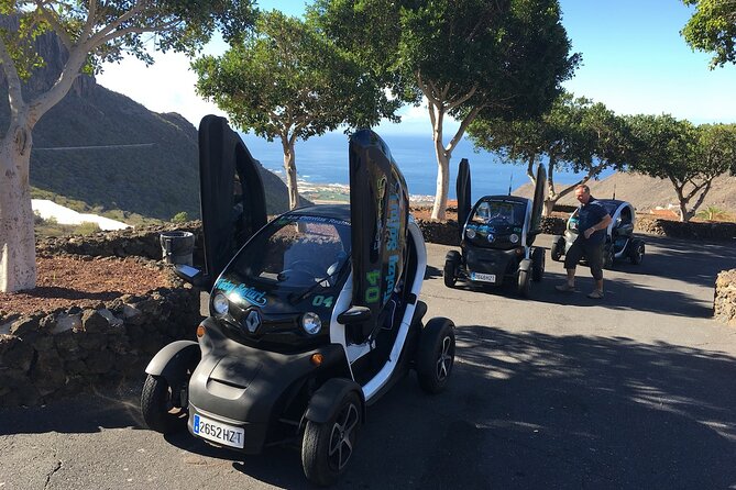 4 Hours Eco Safari Tour with Electric Car in Tenerife - Lava roads, mountain views, and changing vegetation