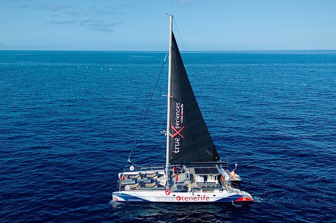 5 hr watching and listening whales and dolps. Visit Los Gigantes - The practical details that affect your choice