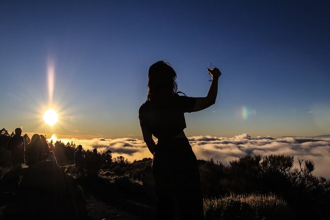 6-Hour Tour with Observation of the Stars 1242 with Lunch - Wine tasting and tapas at Finca Tres Roques
