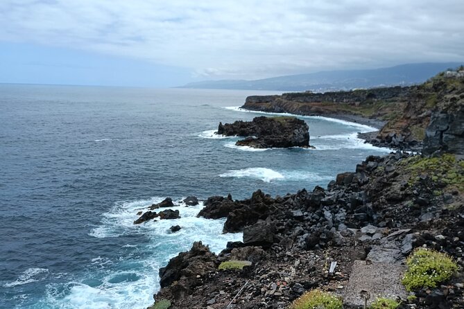 6hrs Private Tour in North Coast of Tenerife - Why northern Tenerife is worth six hours