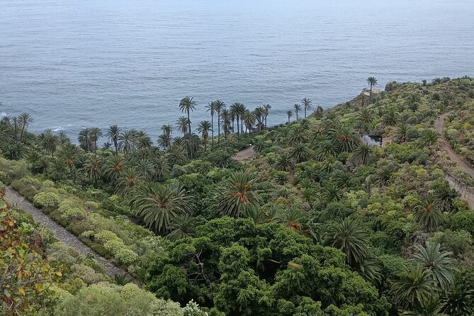 6hrs Private Tour in North Coast of Tenerife - Playa del Socorro, a wilder Atlantic shore