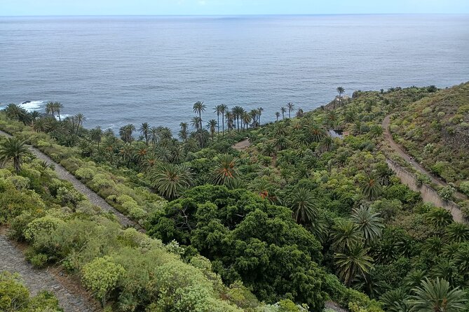 6hrs Private Tour in North Coast of Tenerife - How flexible is the private format?