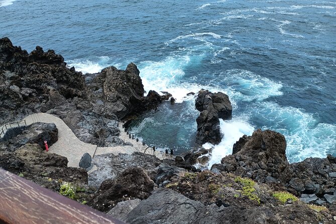 6hrs Private Tour in North Coast of Tenerife - Guides, transport, and the human side of the day