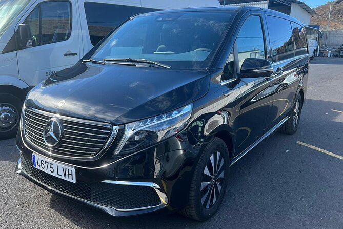 8-Hour Rental in a Luxury Car and Driver/Official Private Guide in Tenerife - Why a private car makes sense in Tenerife