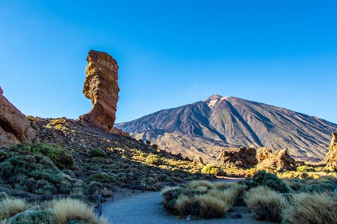 8-Hour Rental in a Luxury Car and Driver/Official Private Guide in Tenerife - The custom northern route option