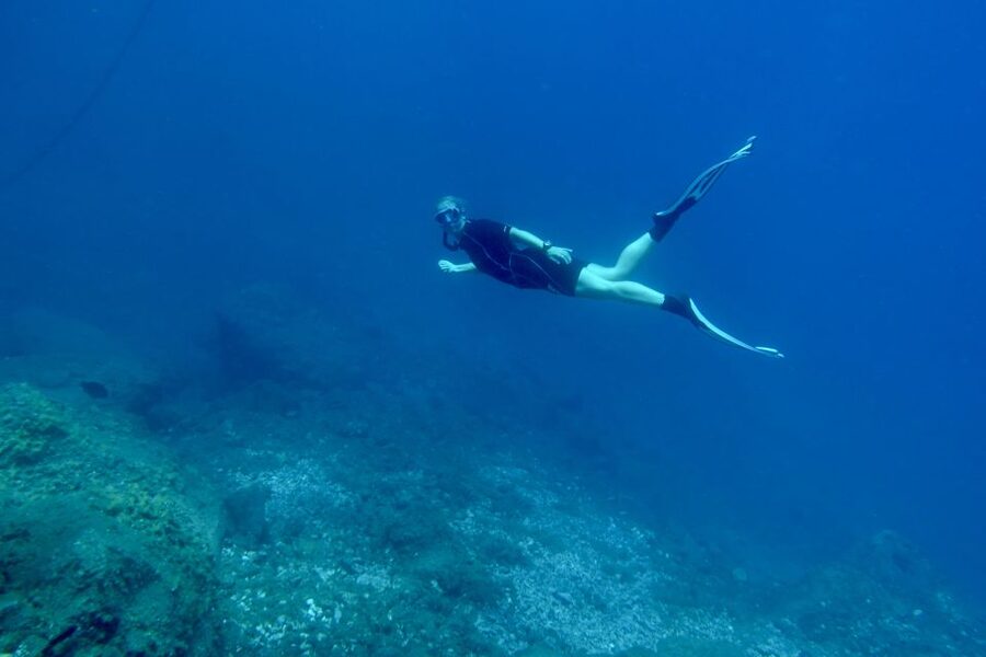 Abades: Guided Snorkeling Tour with Photos - Why beginners and nervous swimmers are well served