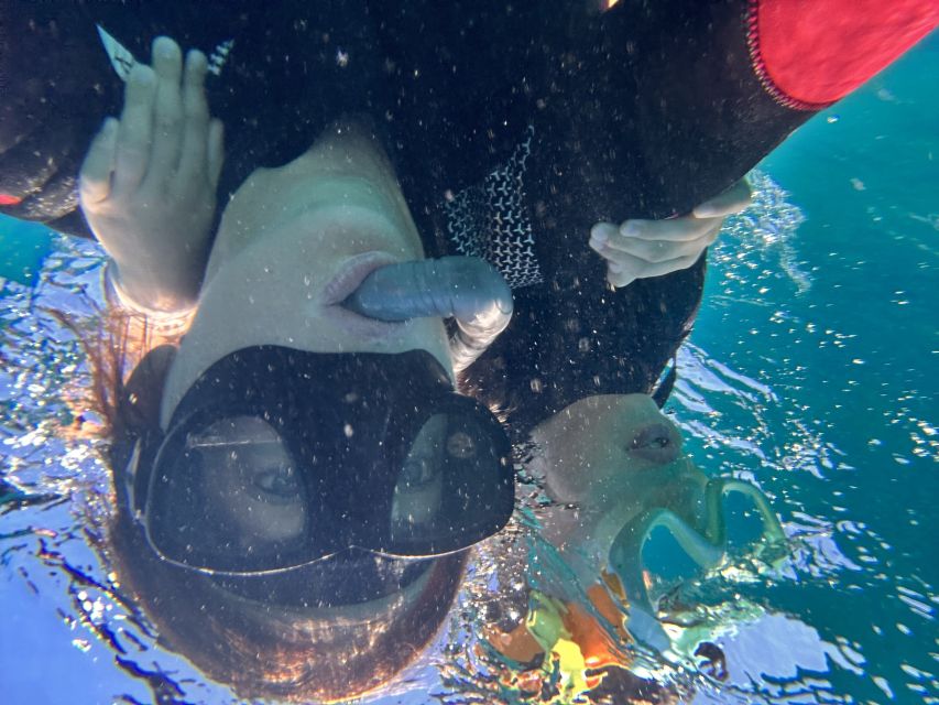 Abades: Guided Snorkeling Tour with Photos - Photos and videos add real value