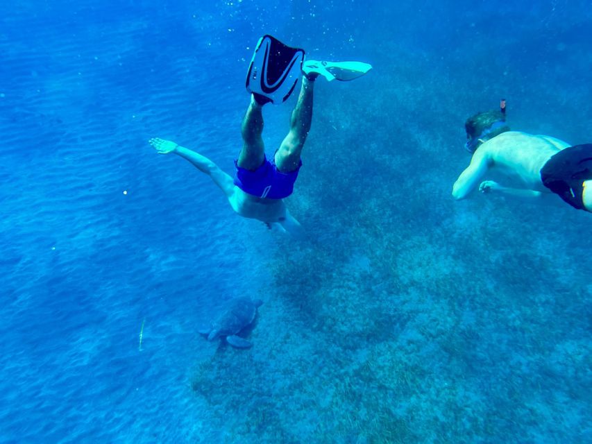 Abades: Guided Snorkeling Tour with Photos - Is $35 a good price?