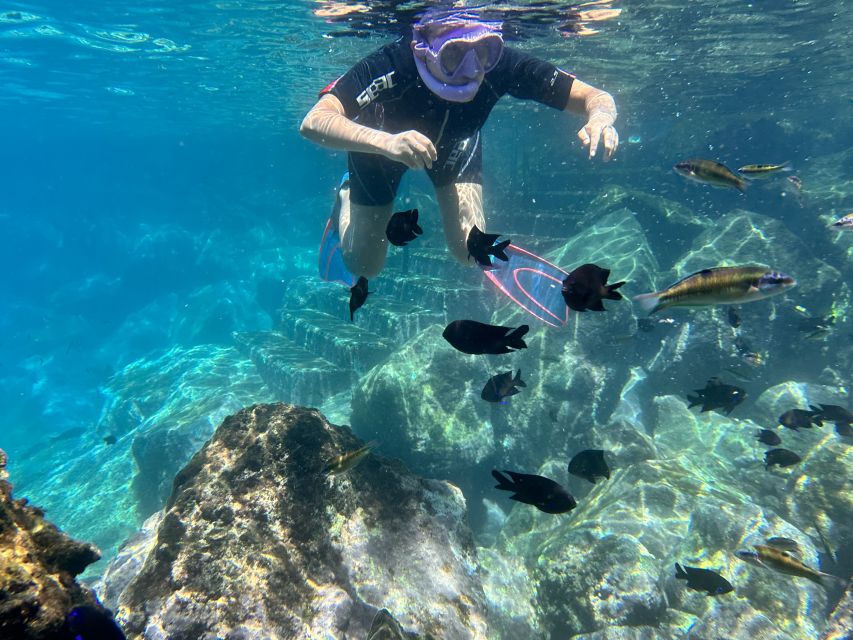 Abades: Guided Snorkeling Tour with Photos - Who should book this Playa Abades tour?
